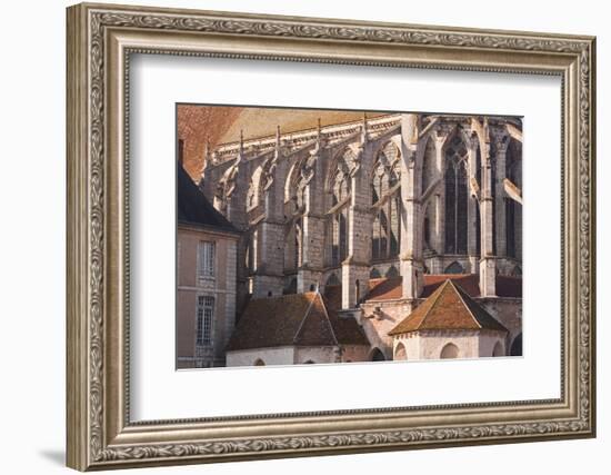 Flying Butresses on the Church Abbey of Saint Pierre in Chartres-Julian Elliott-Framed Photographic Print