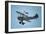 Flying Circus, Bealton, Va, Antique Aircraft, Wingwalking, 2008 (Photo)-Kenneth Garrett-Framed Giclee Print