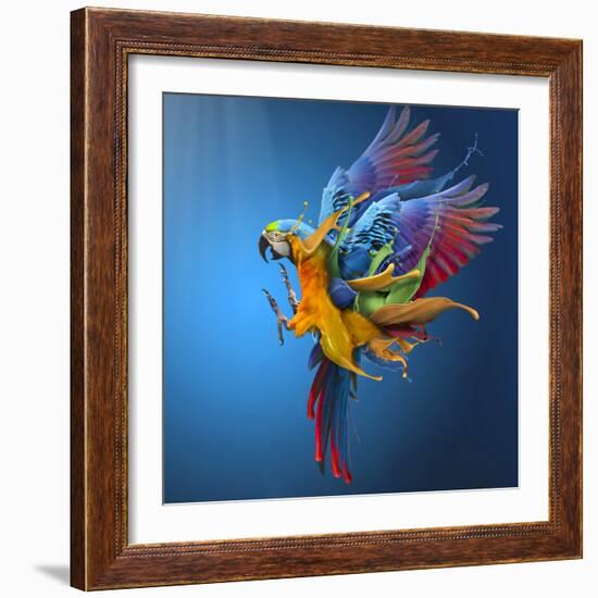 Flying Colours-Sulaiman Almawash-Framed Photographic Print