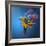Flying Colours-Sulaiman Almawash-Framed Photographic Print