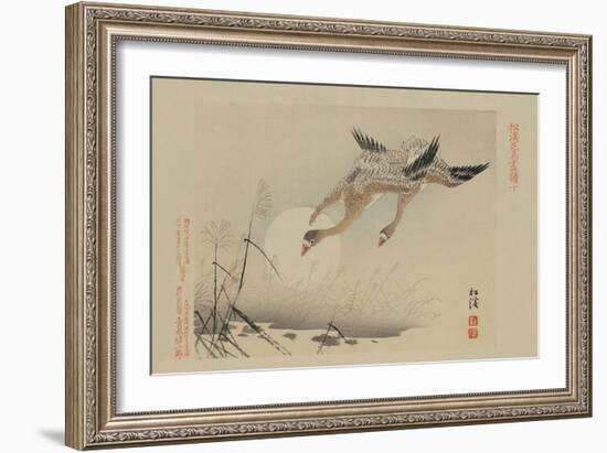 Flying Cranes-null-Framed Premium Giclee Print