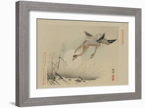 Flying Cranes-null-Framed Premium Giclee Print