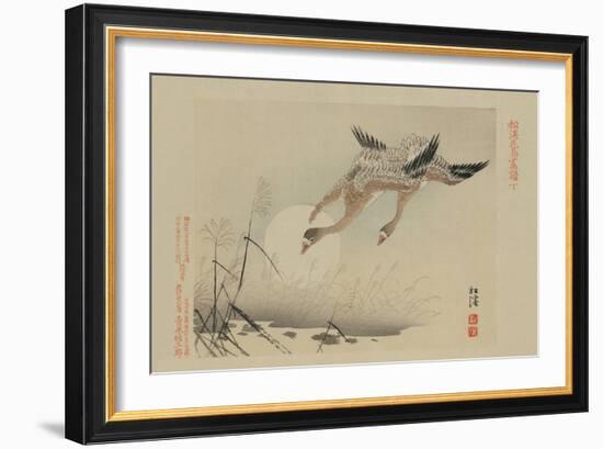 Flying Cranes-null-Framed Premium Giclee Print