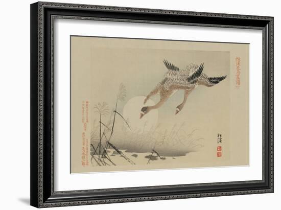 Flying Cranes-null-Framed Art Print