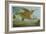 Flying Dragon over Landscape-Wayne Anderson-Framed Giclee Print