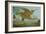 Flying Dragon over Landscape-Wayne Anderson-Framed Giclee Print