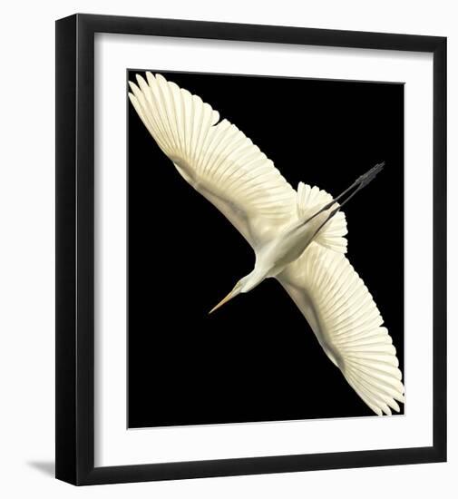 Flying Egret - Noir-Wink Gaines-Framed Giclee Print