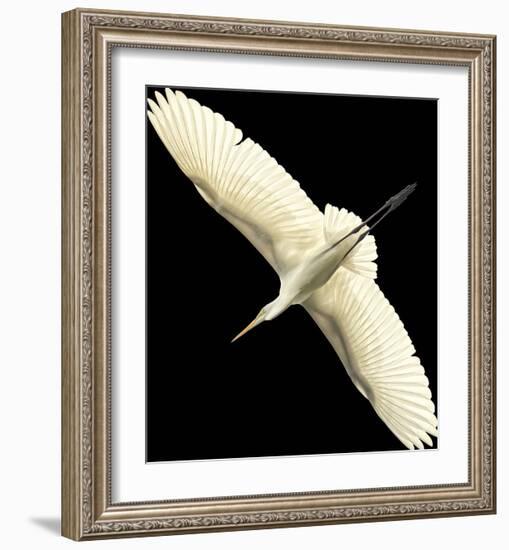 Flying Egret - Noir-Wink Gaines-Framed Giclee Print