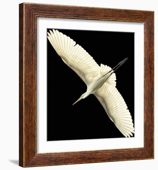 Flying Egret - Noir-Wink Gaines-Framed Giclee Print