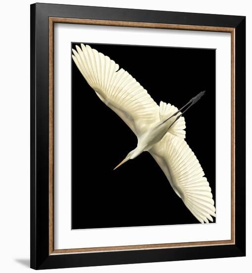 Flying Egret - Noir-Wink Gaines-Framed Giclee Print