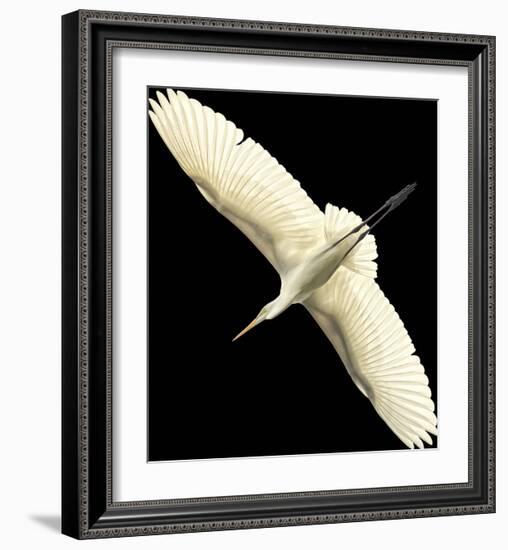 Flying Egret - Noir-Wink Gaines-Framed Giclee Print