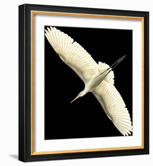 Flying Egret - Noir-Wink Gaines-Framed Giclee Print