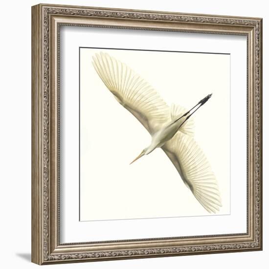 Flying Egret-Wink Gaines-Framed Giclee Print