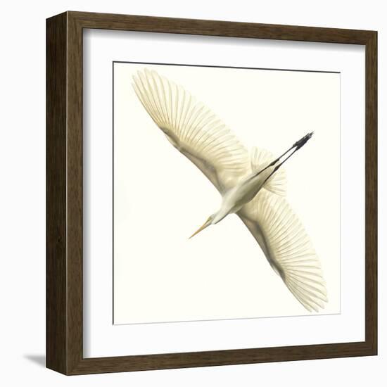 Flying Egret-Wink Gaines-Framed Giclee Print