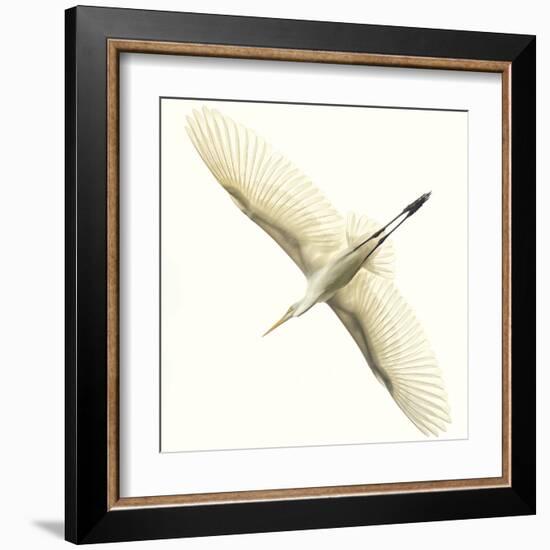 Flying Egret-Wink Gaines-Framed Giclee Print