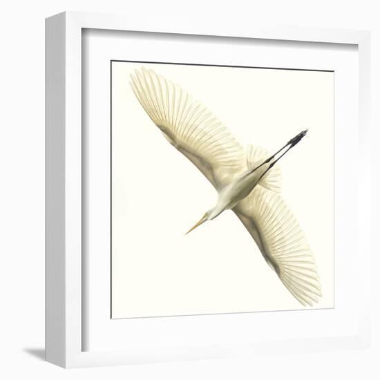 Flying Egret-Wink Gaines-Framed Giclee Print