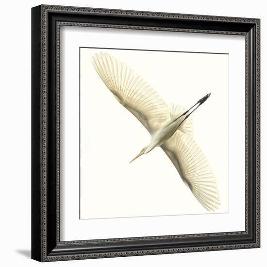 Flying Egret-Wink Gaines-Framed Giclee Print