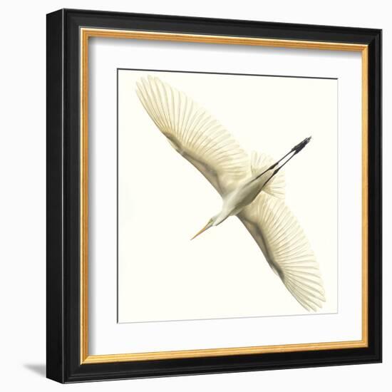 Flying Egret-Wink Gaines-Framed Giclee Print