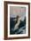 Flying Fish, 1910-Herbert James Draper-Framed Giclee Print