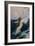 Flying Fish, 1910-Herbert James Draper-Framed Giclee Print