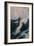 Flying Fish, 1910-Herbert James Draper-Framed Giclee Print