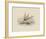 Flying Fish II-null-Framed Premium Giclee Print