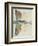 Flying-Fish-John White-Framed Giclee Print