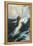 Flying Fish-Herbert James Draper-Framed Stretched Canvas