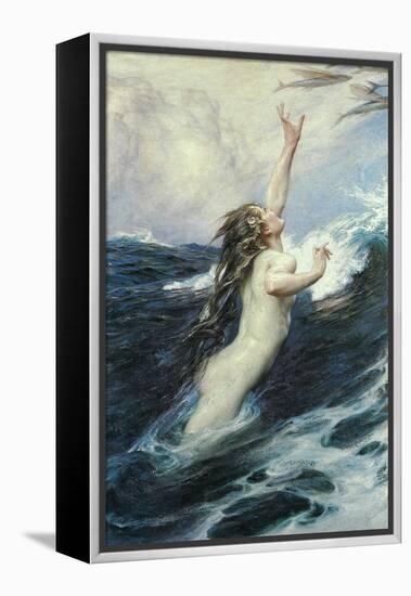 Flying Fish-Herbert James Draper-Framed Stretched Canvas