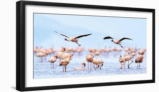 Flying Flamingos-Wink Gaines-Framed Giclee Print