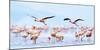 Flying Flamingos-Wink Gaines-Mounted Giclee Print