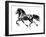 Flying Friesian, 2015-Mark Adlington-Framed Giclee Print