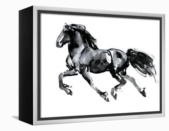 Flying Friesian, 2015-Mark Adlington-Framed Premier Image Canvas