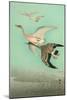 Flying Geese-Koson Ohara-Mounted Giclee Print