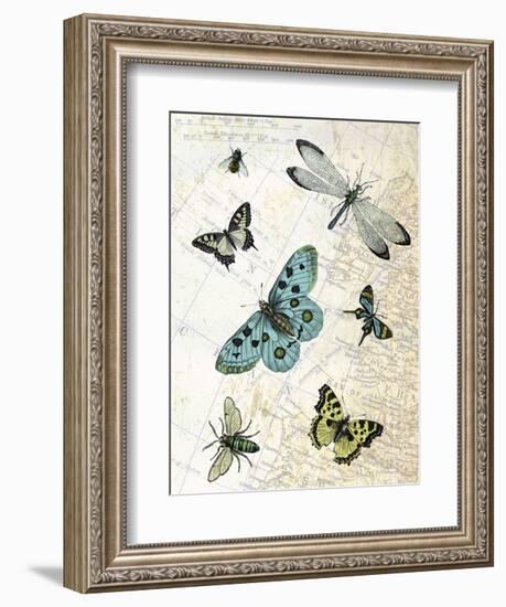 Flying High-Marion Mcconaghie-Framed Art Print