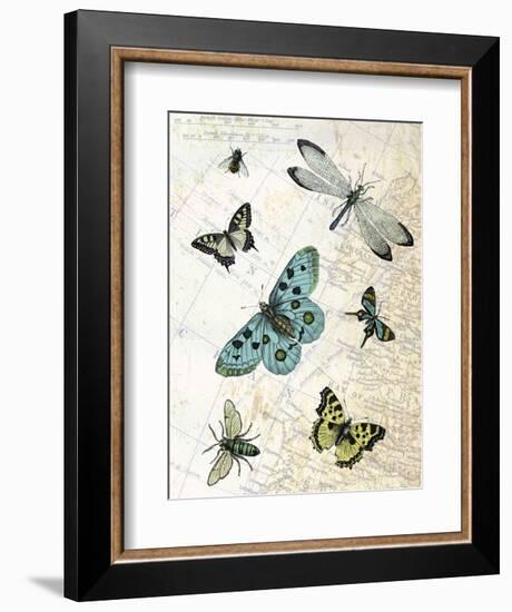 Flying High-Marion Mcconaghie-Framed Art Print