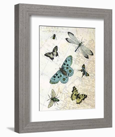 Flying High-Marion Mcconaghie-Framed Art Print