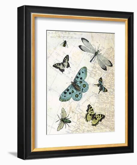 Flying High-Marion Mcconaghie-Framed Art Print