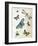 Flying High-Marion Mcconaghie-Framed Art Print