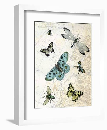 Flying High-Marion Mcconaghie-Framed Art Print