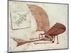 Flying Machine-Leonardo da Vinci-Mounted Premium Giclee Print