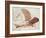 Flying Machine-Leonardo da Vinci-Framed Giclee Print