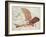 Flying Machine-Leonardo da Vinci-Framed Giclee Print