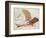 Flying Machine-Leonardo da Vinci-Framed Giclee Print