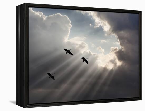 Flying on Sunbeams, Macinaw Island, Michigan ‘10-Monte Nagler-Framed Premier Image Canvas