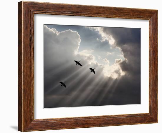 Flying on Sunbeams, Macinaw Island, Michigan ‘10-Monte Nagler-Framed Photographic Print