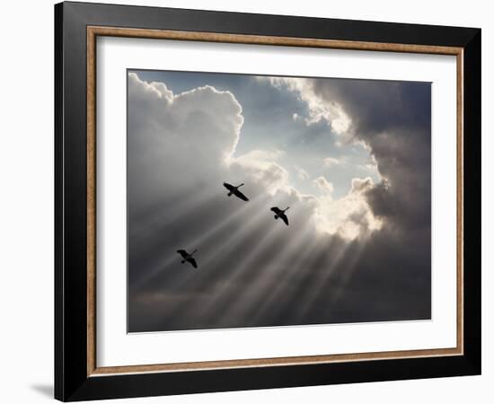 Flying on Sunbeams, Macinaw Island, Michigan ‘10-Monte Nagler-Framed Photographic Print