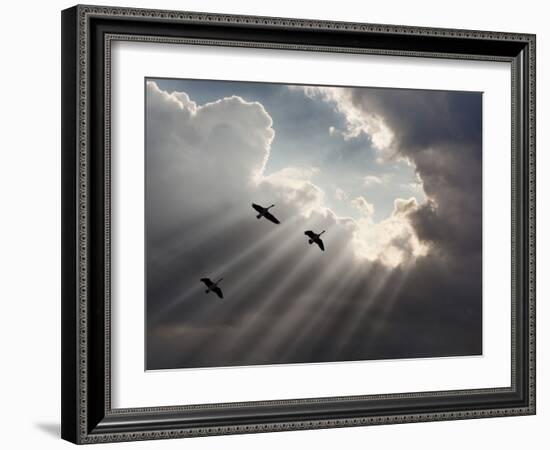 Flying on Sunbeams, Macinaw Island, Michigan ‘10-Monte Nagler-Framed Photographic Print