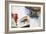 Flying One Hundred Years Ago-Peter Jackson-Framed Giclee Print