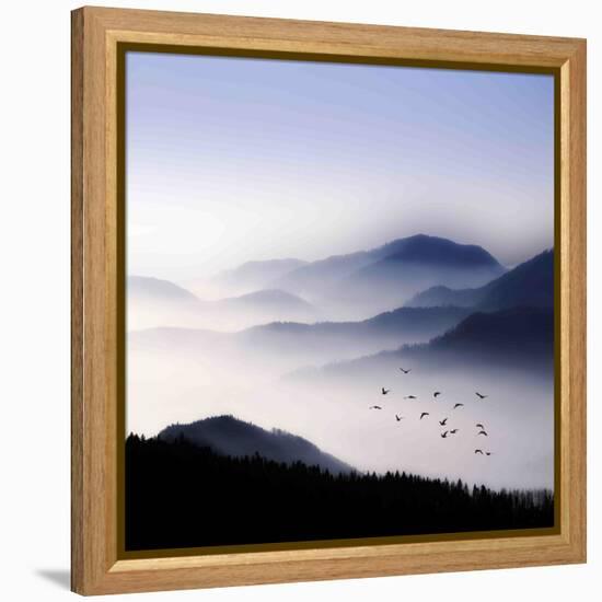 Flying over the Fog-Philippe Sainte-Laudy-Framed Premier Image Canvas